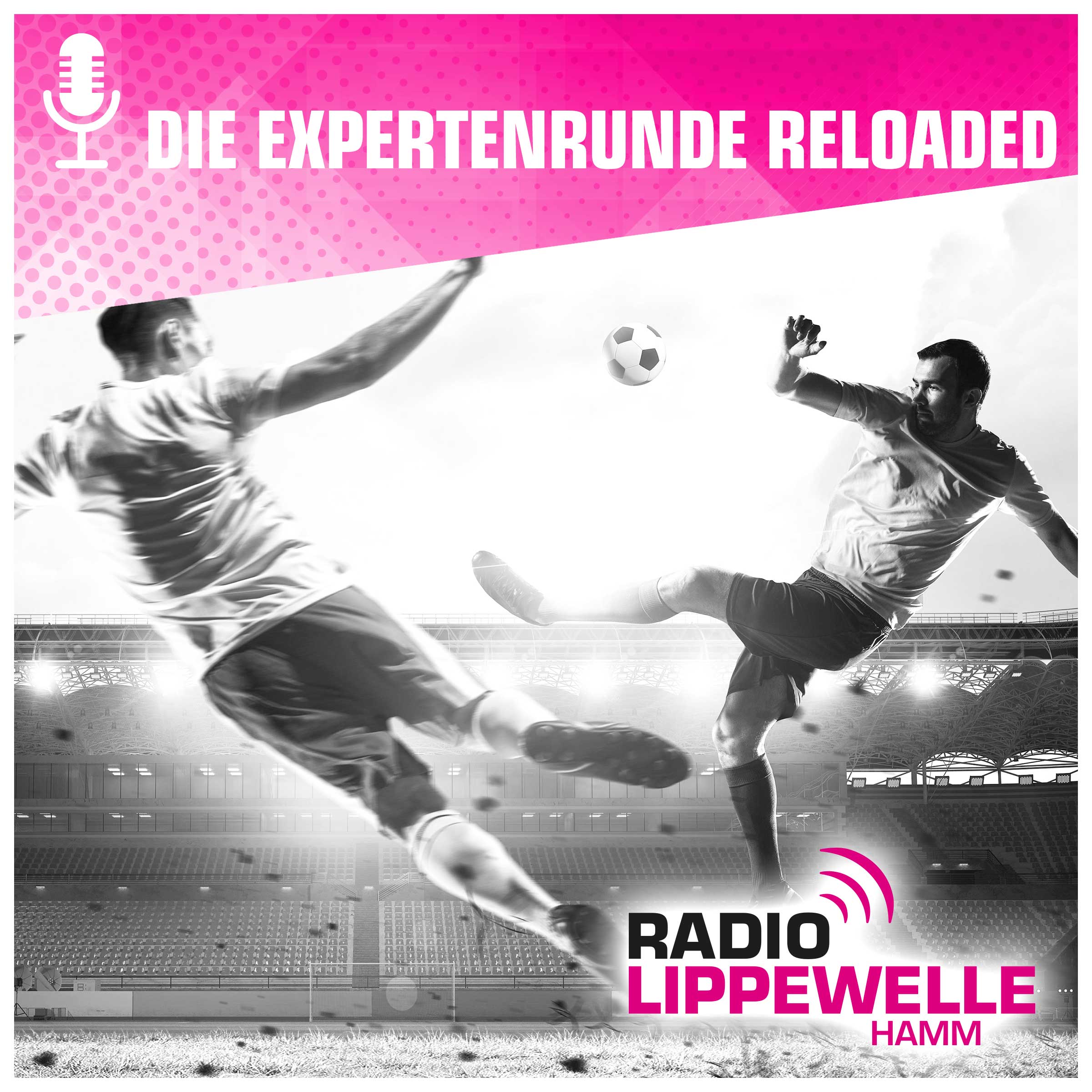 Die Expertenrunde reloaded